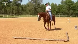 Foto de treinamento em pista
