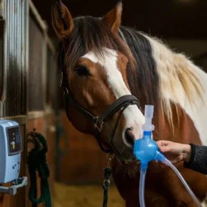 Cavalo Campolina sendo tratado com nebulizador para facilitar a respiração.