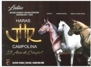 Cavalo Campolina - Catálogo Leilão - 2023 – Leilão Melhor Criador e Expositor Nacional 2021 e 2022