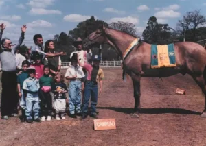 Cavalo Campolina - 1996 - Expo Pará de Minas