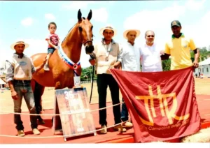 Égua Campolina - Eva JHR - Bi Campeã Nacional Égua Maior 2015-2016
