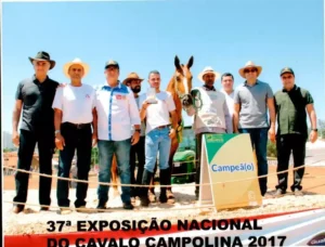 Égua Campolina - Xonada do Camparal, Henrique, José Henrique, Nil, Milton Passos, Marthius, Anderson, Alvair, Gleisson Veterinário,