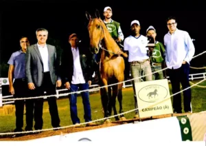 Cavalo Campolina - Henrique, Nil, Alvair, EVA JHR, José Henrique e Breno
