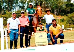 Cavalo Campolina - Alvair na Eba JHR, Breno, Nil