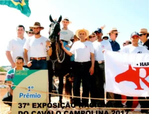 Égua Campolina - Junin, Gleisson, Anderson, Nil, Alvair, Henrique José Henriuque , Animal JE Gabi