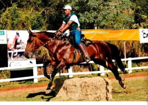 Cavalo Campolina - Alvair no Urgente do Porto Rico
