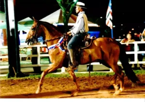 Cavalo Campolina - Valente do Porto Rico e Alvair - Conjunto Reservado Campeão Nacional de Marcha Cavalo Sênior 2016