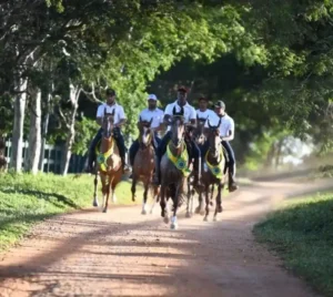 Cavalo Campolina - Equipe JHR no Haras (Matheus (Miss JHR), Meijon, Alvair (Invasor), Luiz Miguel e Rodrigo (Madalena JHR)