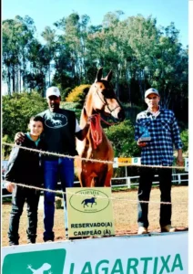 Cavalo Campolina - Alvair, Nil e Estoril JHR