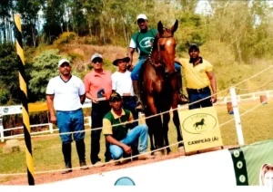 Cavalo Campolina - Alvair na Eba JHR e Nil, e Breno da JHR