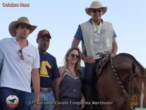 Cavalo Campolina - Década de 2010