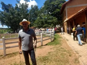 Cavalo Campolina - Henrique Salvador no Haras JHR