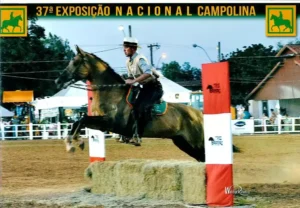 Cavalo Campolina - Anderson Montado no Novembro Lalomax