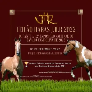Cavalo Campolina - Leilão Haras JHR 2022 - (07-09-2022)