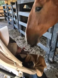 Cavalo Campolina - Silvia Salvador no Haras