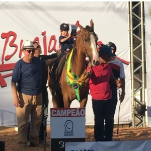 Cavalo Campolina de Luiz Maria de Sá Neto