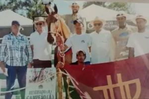 Cavalo Campolina - Milton Passos